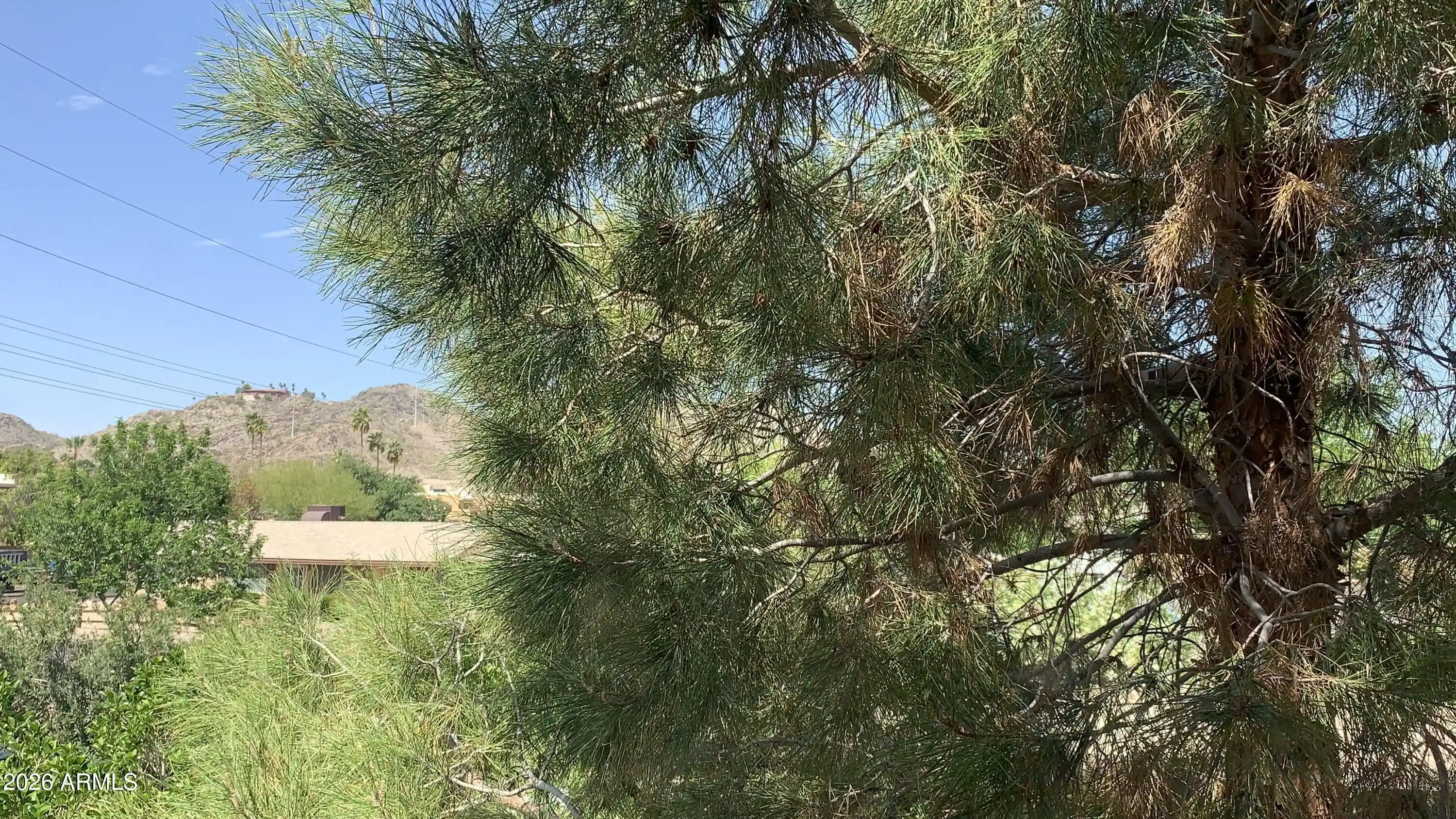 Photo 1 of Condo for sale at 10410 N Cave Crk Rd #2100, Phoenix, AZ 85020 | MLS# 7082016 | Listing updated on 2026-10-18