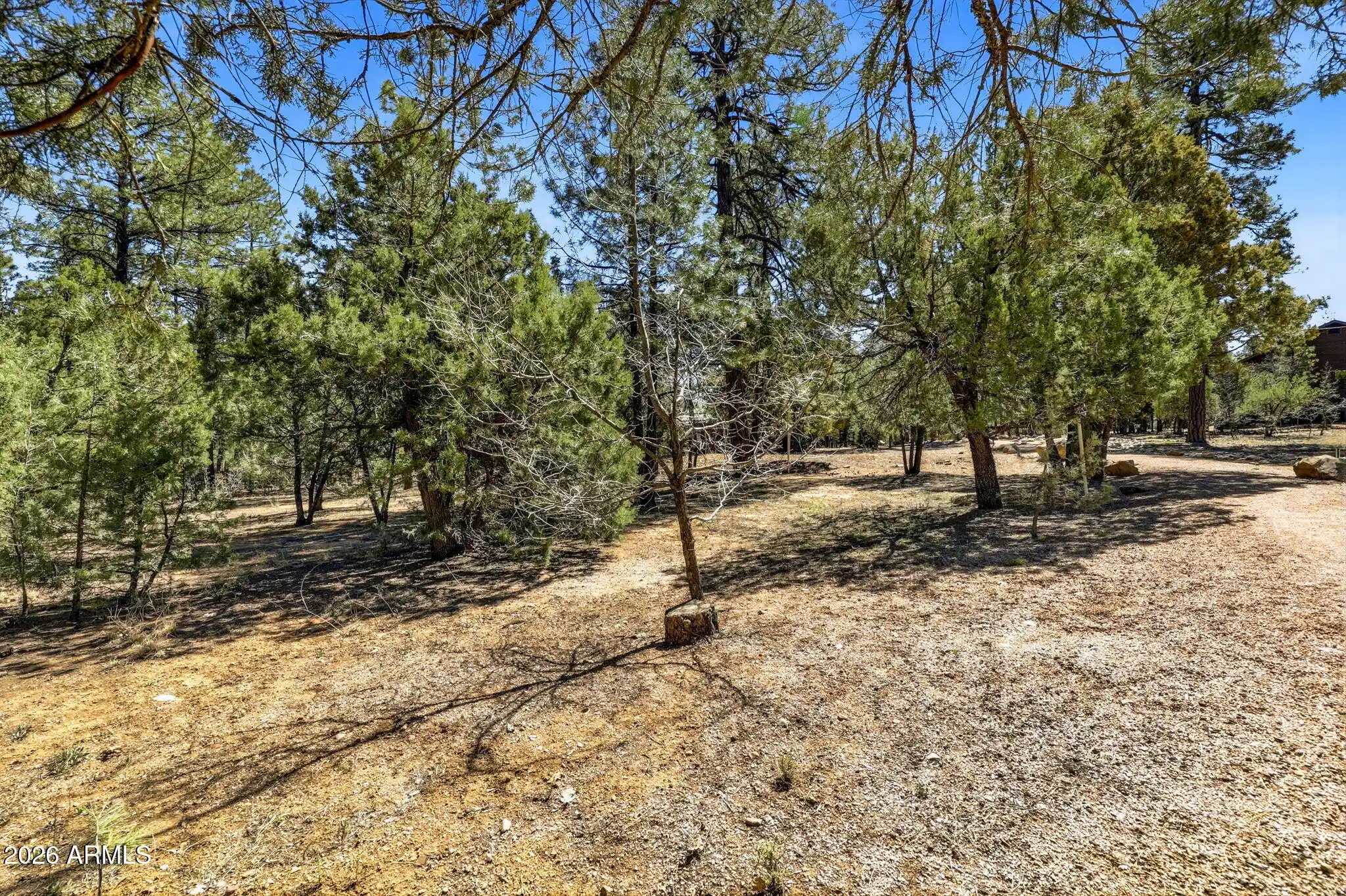 Photo 1 of Land for sale at 5039 Winter Hawk Ct #69, Lakeside, AZ 85929 | MLS# 7082456 | Listing updated on 2026-09-19