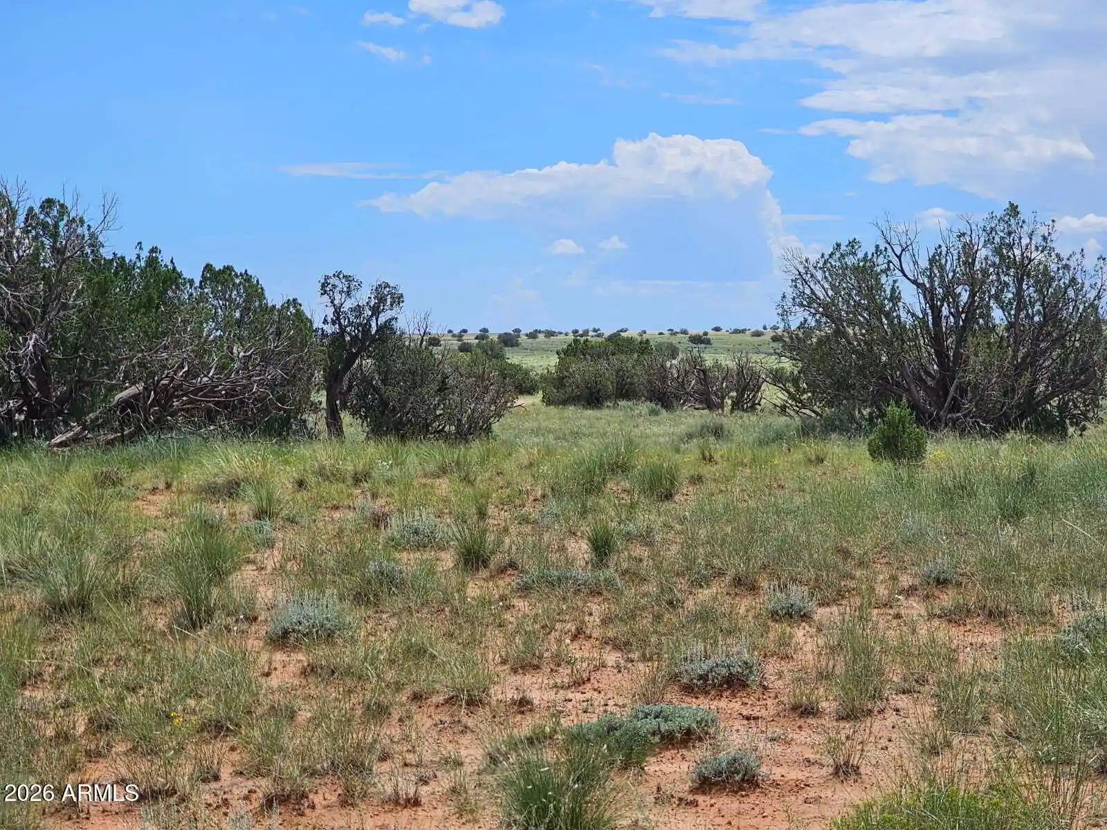 Photo 1 of Land for sale at 1924 Hutch Rd #39, Heber, AZ 85928 | MLS# 7085713 | Listing updated on 2026-10-06