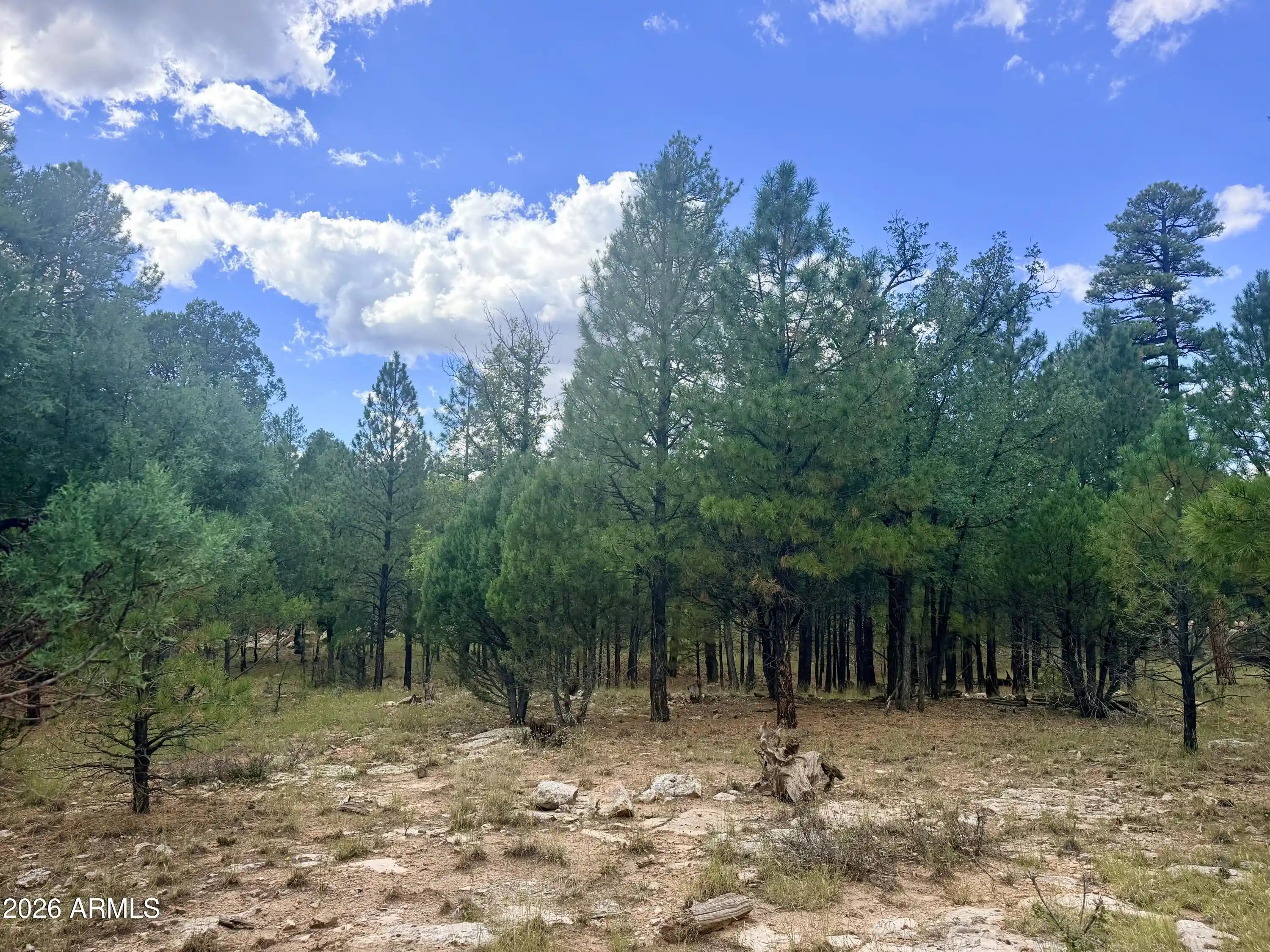Land for sale at 1601 Mule Deer Pl #120, Happy Jack, AZ 86024 | MLS# 7085859