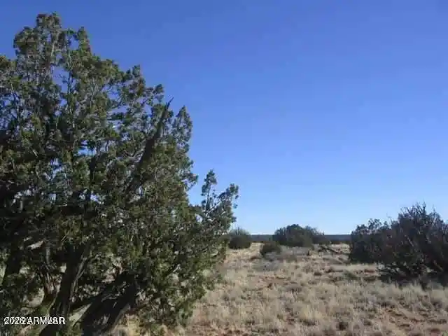 Photo 1 of Land for sale at Lot 537 Chevelon Cyn Ranch #537, Heber, AZ 85928 | MLS# 7085912 | Listing updated on 2026-09-27