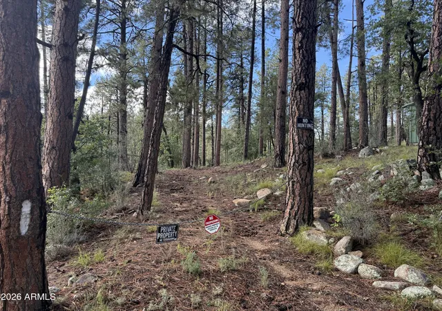 Photo 1 of Sale Pending at 00 E Evening Shadow Rd, Crown King, AZ 86343 | MLS# 7087260 | Listing updated on 2026-10-27