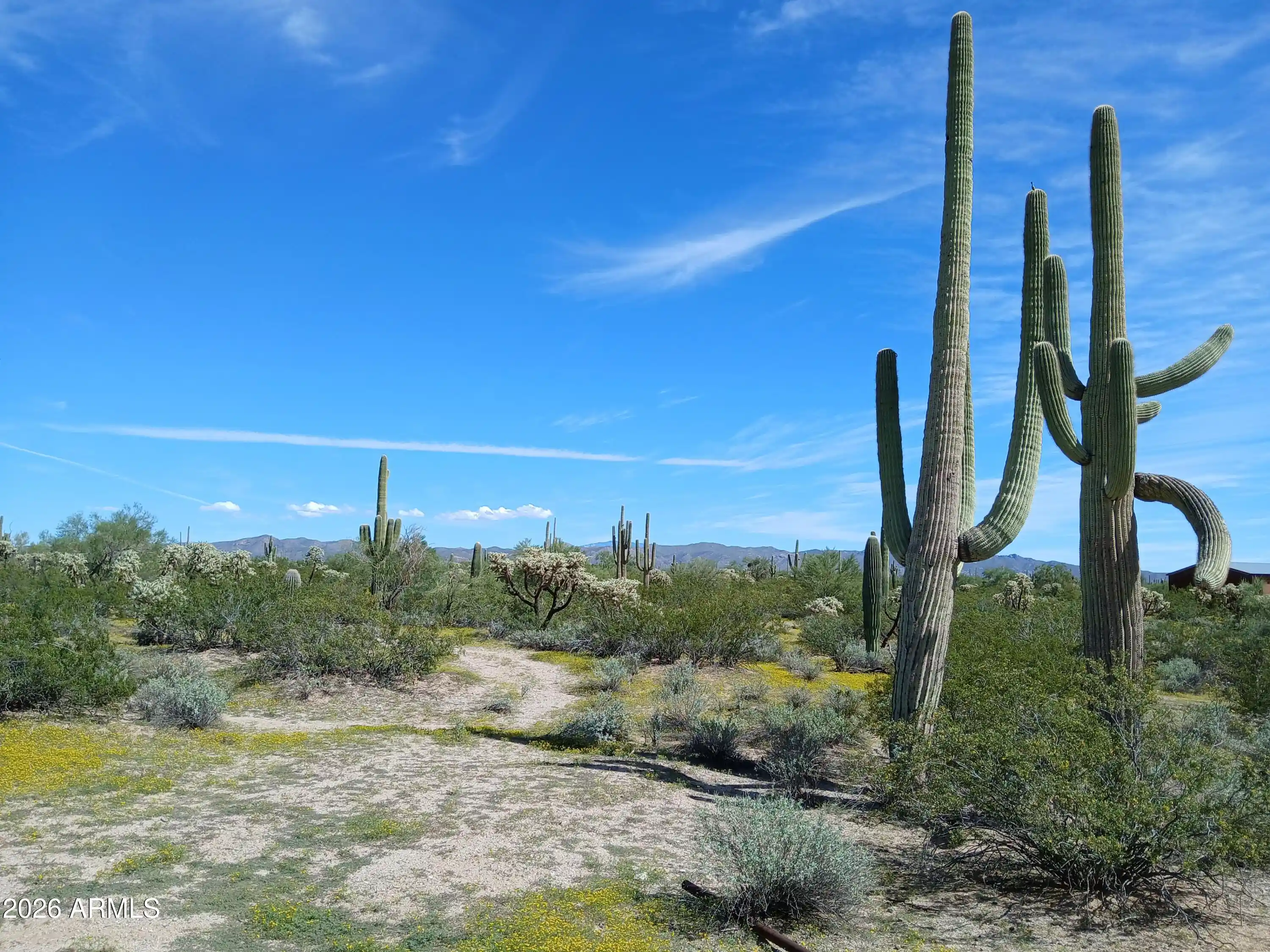 Photo 1 of Land for sale at 0 S Twin Hawk Ln, Marana, AZ 85658 | MLS# 7087780 | Listing updated on 2026-10-01