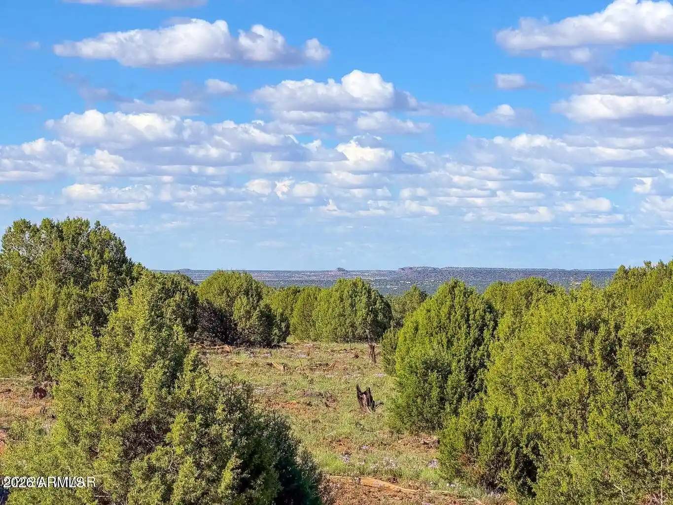 Photo 1 of Sale Pending at 8025 Colt Ln Lot 5 8 Acres, Show Low, AZ 85901 | MLS# 7088790 | Listing updated on 2026-10-19