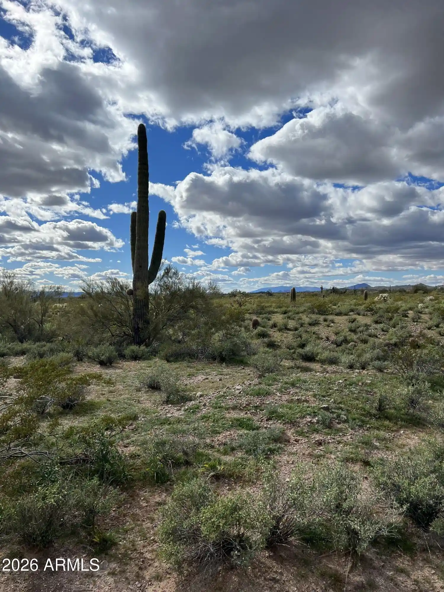 Photo 1 of Land for sale at 0 N 339th Avenue #49, Wickenburg, AZ 85390 | MLS# 7088615 | Listing updated on 2026-10-02