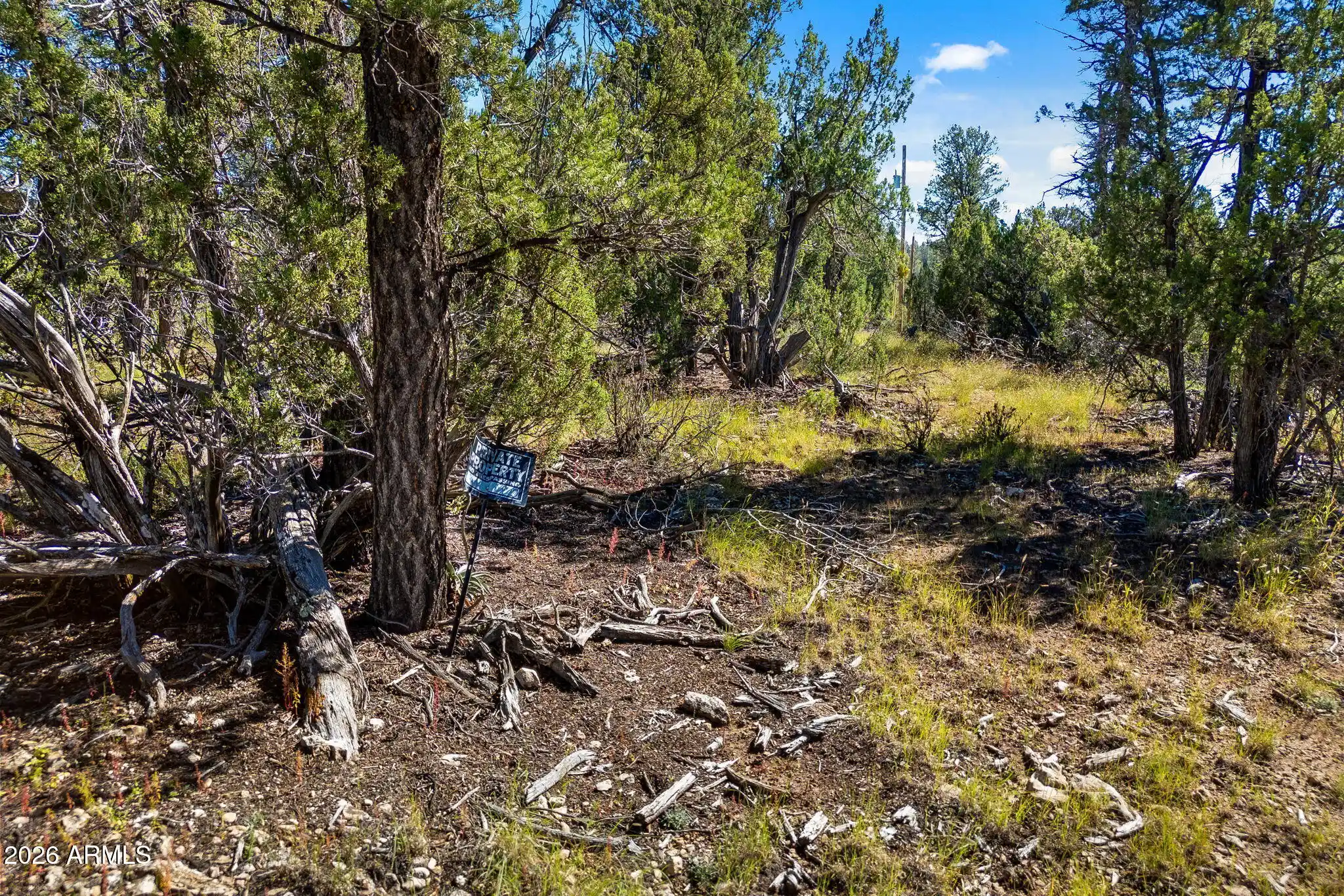 Photo 1 of Land for sale at 1948 Elk Rd #029E, Heber, AZ 85928 | MLS# 7090169 | Listing updated on 2026-10-06
