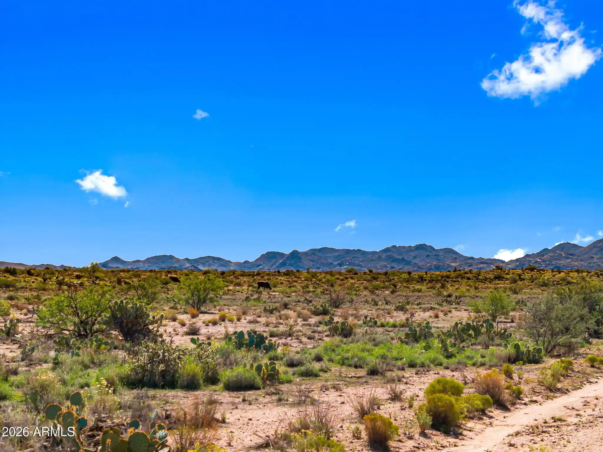 Photo 1 of Land for sale at Lot S 55 Joe Hancock Trl #55, Congress, AZ 85332 | MLS# 7095694 | Listing updated on 2026-10-20