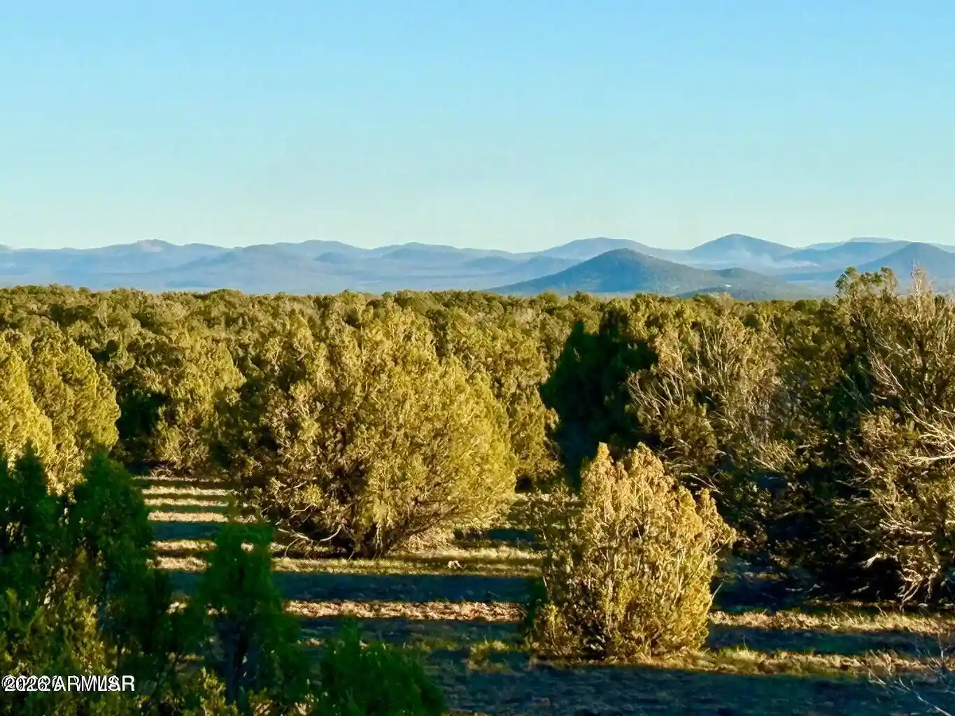 Photo 1 of Sale Pending at 9023 Appaloosa Trl (lot A) 5 Acres, Show Low, AZ 85901 | MLS# 7091531 | Listing updated on 2026-10-25