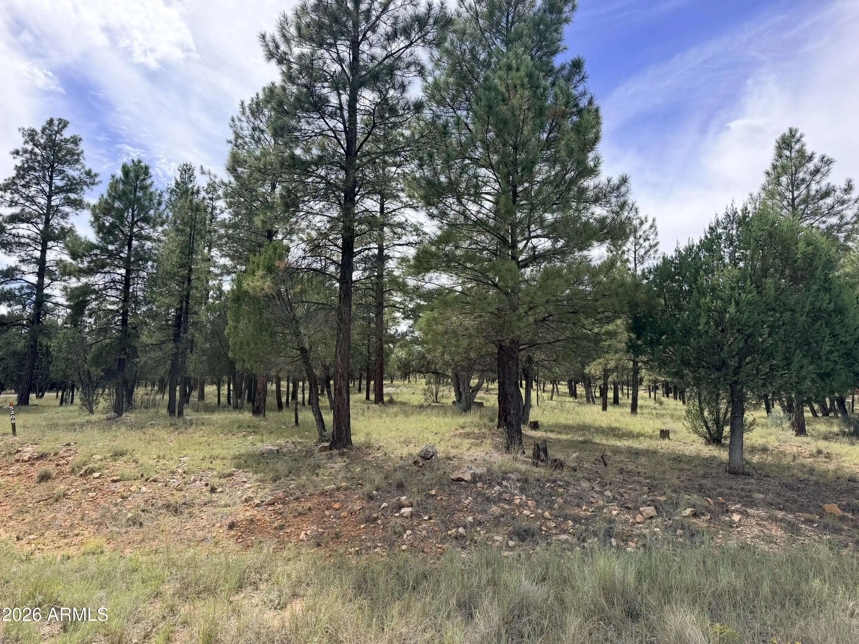 Land for sale at 5206 Starlight Dr #166, Happy Jack, AZ 86024 | MLS# 7092349