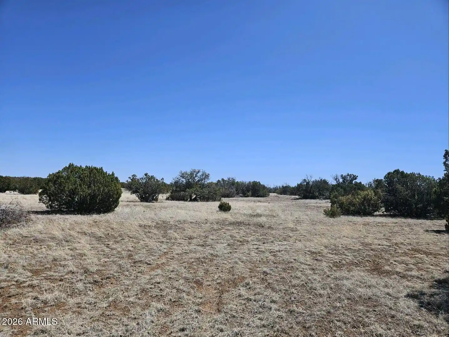 Land for sale at 56 Acr 5073, Concho, AZ 85924 | MLS# 7098021