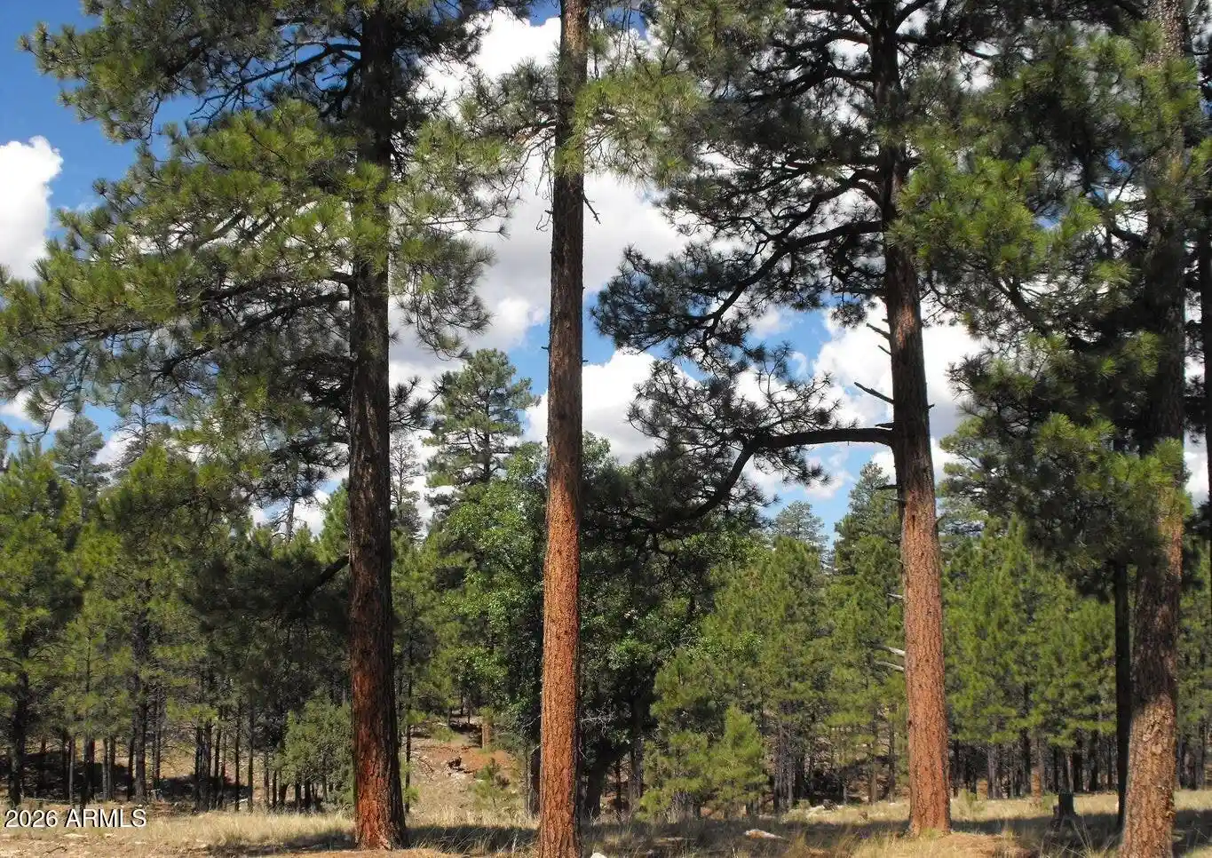 Land for sale at 4622 Juniper Dr #116, Happy Jack, AZ 86024 | MLS# 7098154