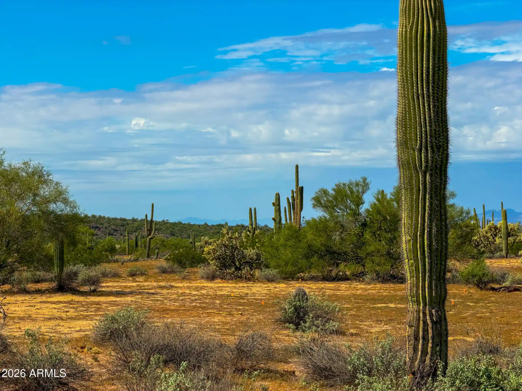 Land for sale at 0 N Hohokam Rd Lot 1 4.25 Acres, Florence, AZ 85132 | MLS# 7098366