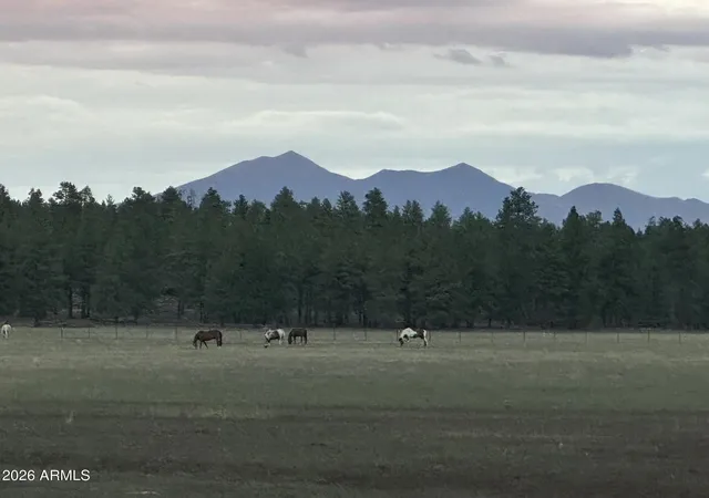 Photo 1 of Land for sale at Xxxx E Fsr 700 And 78 #2, Flagstaff, AZ 86005 | MLS# 7099059 | Listing updated on 2026-10-27