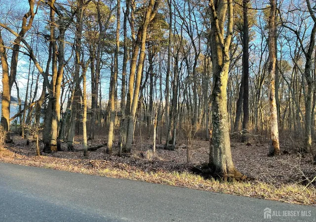 Photo 1 of Land for sale at 35 Birch St, Old Bridge, NJ 08857 | MLS# 2507189R | Listing updated on 2026-02-04