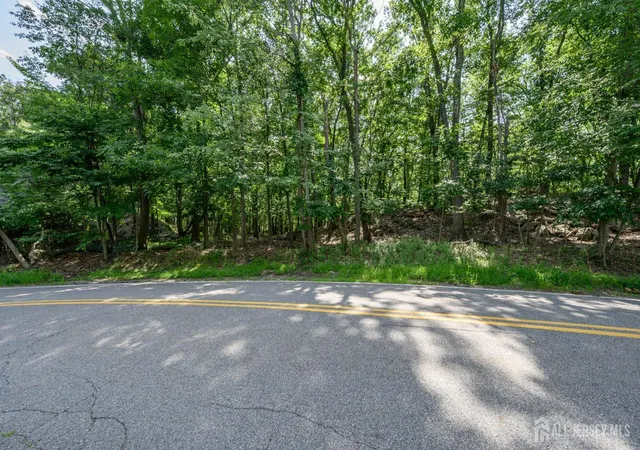Photo 1 of Land for sale at 782 Brooklyn Mountain Rd, Hopatcong, NJ 07843 | MLS# 2701571R | Listing updated on 2026-08-04