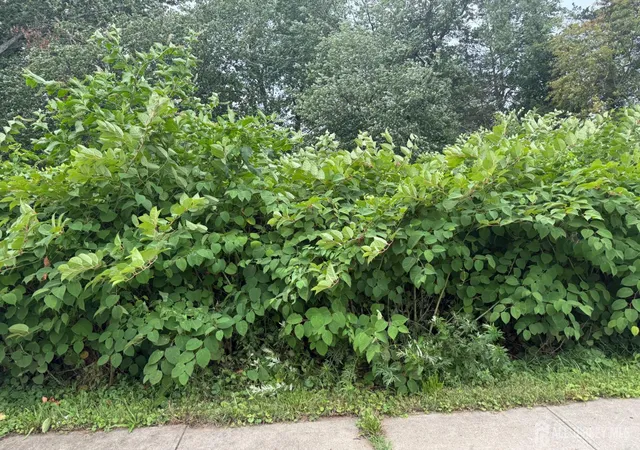 1st image of 1110 Se Walnut St, Piscataway, NJ 08854 | MLS# 2700932R