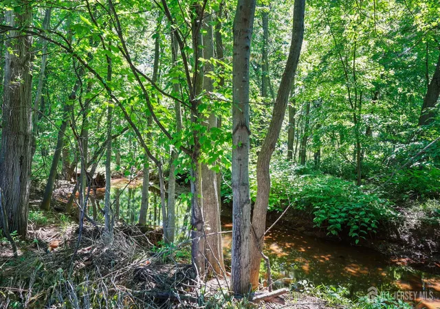 44th image of 13 Tara Lin Dr, Hazlet, NJ 07730 | MLS# 2701886R