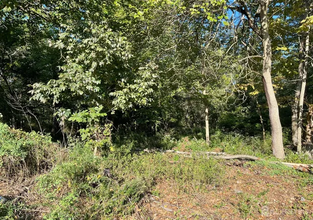 Photo 3 of Land for sale at 76 Woodland Rd, Piscataway, NJ 08854 | MLS# 2605599R | Listing updated on 2026-07-02