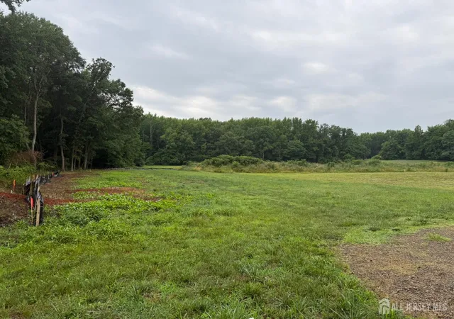 Land for sale at 59 Jurgelsky Rd, Monroe Township, NJ 08831 | MLS# 2618439R