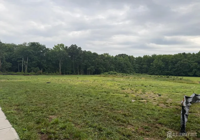 Photo 3 of Land for sale at 59 Jurgelsky Rd, Monroe Township, NJ 08831 | MLS# 2618439R | Listing updated on 2026-06-30