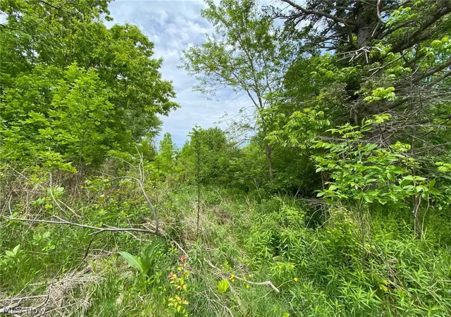 3rd image of 5323 N River State Rd 307 Rd, Geneva, OH 44041 | MLS# 4426792