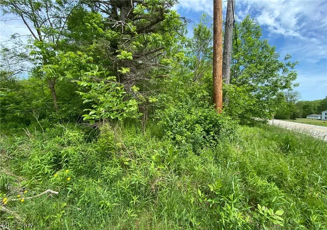 4th image of 5323 N River State Rd 307 Rd, Geneva, OH 44041 | MLS# 4426792