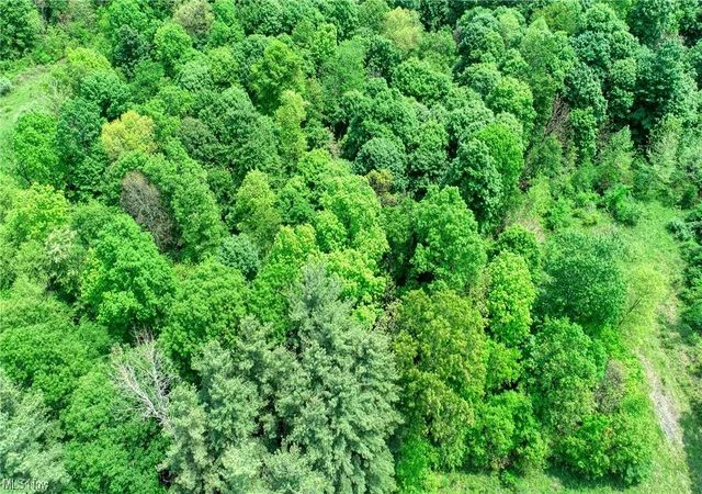 Photo 10 of Land for sale at 63580 Wintergreen Rd, Lore City, OH 43755 | MLS# 4460462 | Listing updated on 2026-05-21