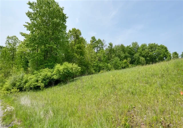 Land for sale at 63580 Wintergreen Rd, Lore City, OH 43755 | MLS# 4460462
