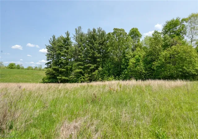 Photo 3 of Land for sale at 63580 Wintergreen Rd, Lore City, OH 43755 | MLS# 4460462 | Listing updated on 2026-05-21