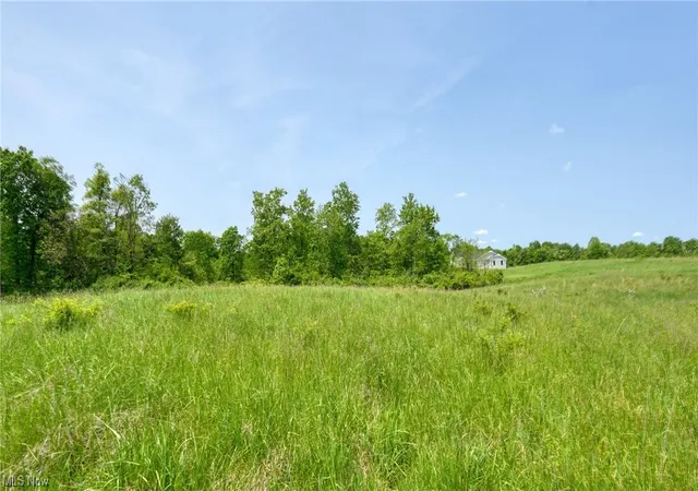 Photo 3 of Land for sale at 63580 Wintergreen Rd, Lore City, OH 43755 | MLS# 4460462 | Listing updated on 2026-05-21