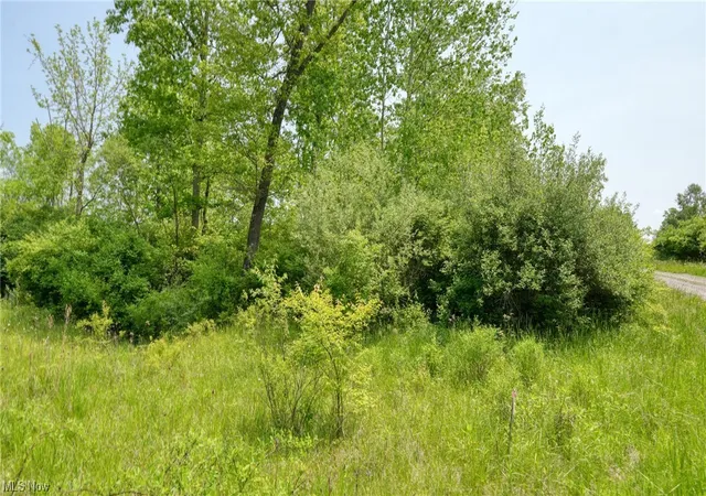 Photo 4 of Land for sale at 63580 Wintergreen Rd, Lore City, OH 43755 | MLS# 4460462 | Listing updated on 2026-05-21
