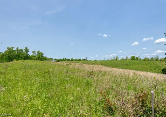 Land for sale at 63680 Wintergreen Rd, Lore City, OH 43755 | MLS# 4460471