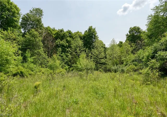 Photo 3 of Land for sale at 63680 Wintergreen Rd, Lore City, OH 43755 | MLS# 4460471 | Listing updated on 2026-05-21