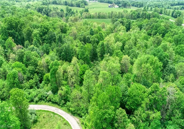 Photo 3 of Land for sale at 63600 Wintergreen Rd, Lore City, OH 43755 | MLS# 4460472 | Listing updated on 2026-05-21