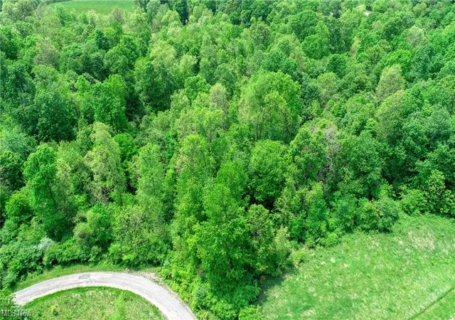 Photo 3 of Land for sale at 63600 Wintergreen Rd, Lore City, OH 43755 | MLS# 4460472 | Listing updated on 2026-05-21