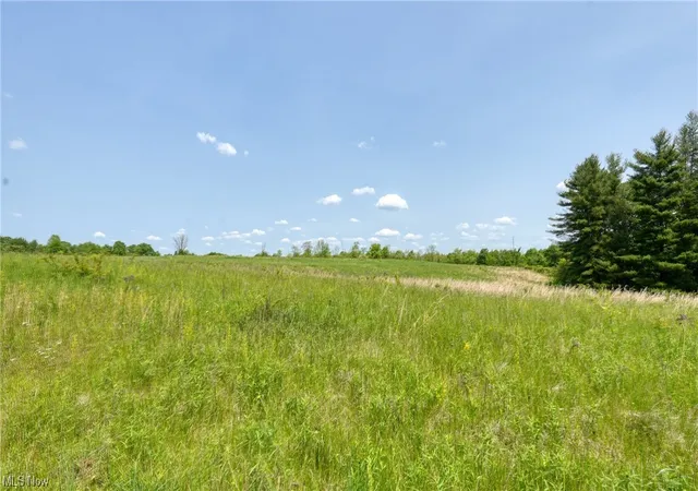 Land for sale at 63690 Wintergreen Rd, Lore City, OH 43755 | MLS# 4460465