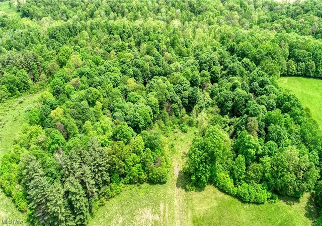Photo 15 of Land for sale at 63660 Wintergreen Rd, Lore City, OH 43755 | MLS# 4460464 | Listing updated on 2026-05-21