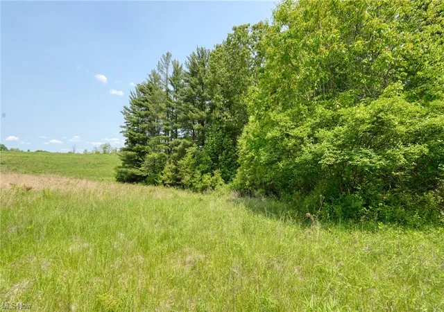 Photo 2 of Land for sale at 63660 Wintergreen Rd, Lore City, OH 43755 | MLS# 4460464 | Listing updated on 2026-05-21