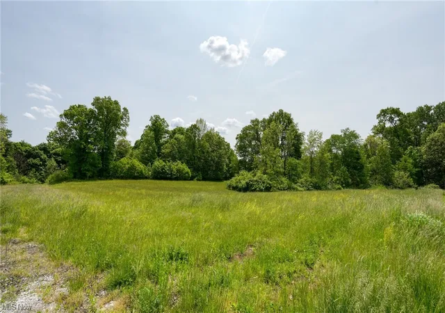 Photo 3 of Land for sale at 63660 Wintergreen Rd, Lore City, OH 43755 | MLS# 4460464 | Listing updated on 2026-05-21