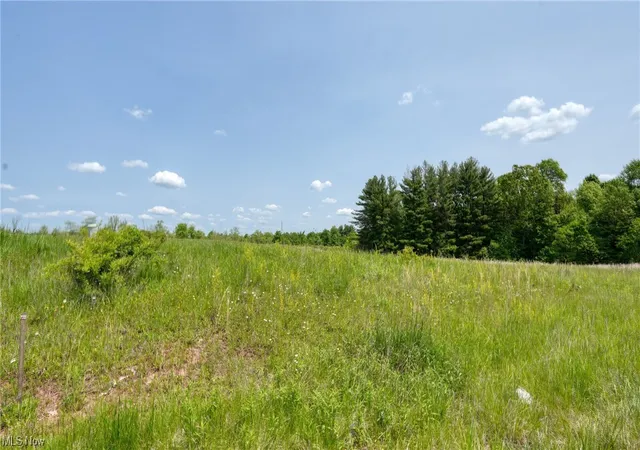 Photo 3 of Land for sale at 63700 Wintergreen Rd, Lore City, OH 43755 | MLS# 4460466 | Listing updated on 2026-05-21