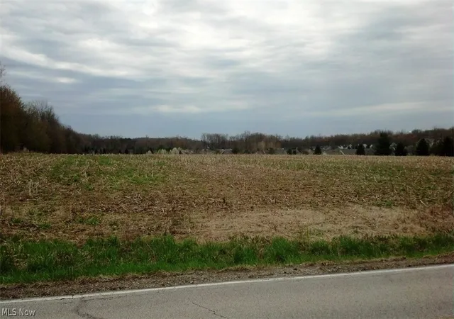 Photo 1 of Land for sale at Reimer Rd, Wadsworth, OH 44281 | MLS# 3968822 | Listing updated on 2026-07-14