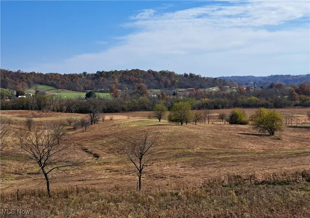 Homes for sale in Salesville, OH | 19510 Leatherwood Rd, Salesville, OH 43778 | MLS# 4454898