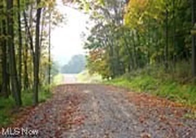 2nd image of Lot 1 Cattle Dr, Barnesville, OH 43713 | MLS# 4487276