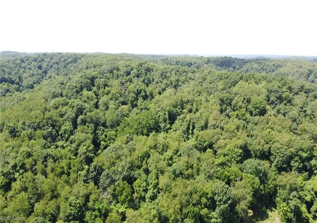 Homes for sale in Chester, WV | Tbd Locust Hill Rd, Chester, WV 26034 | MLS# 4497224