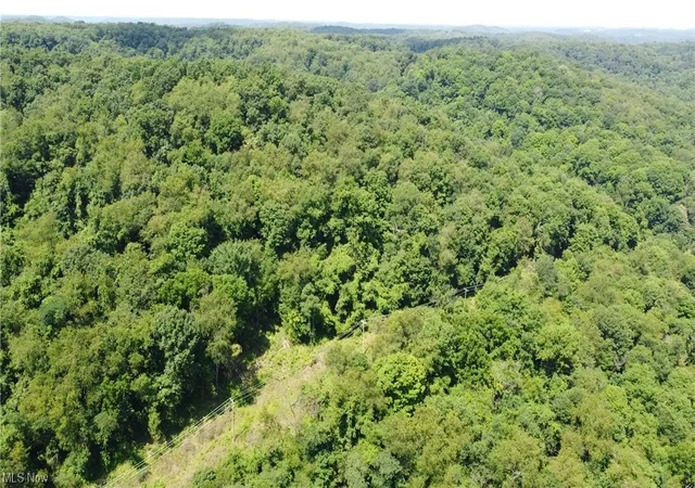 Homes for sale in Chester, WV | Tbd Locust Hill Rd, Chester, WV 26034 | MLS# 4497224