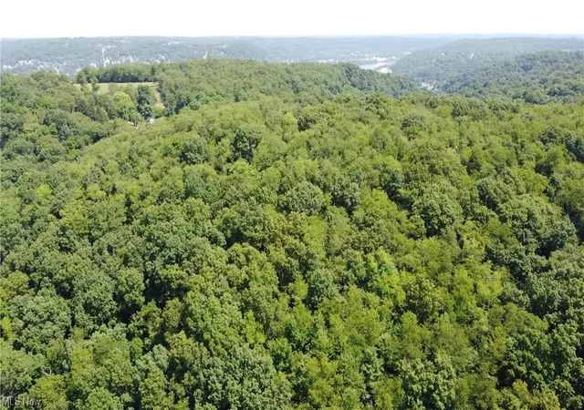 Homes for sale in Chester, WV | Tbd Locust Hill Rd, Chester, WV 26034 | MLS# 4497224