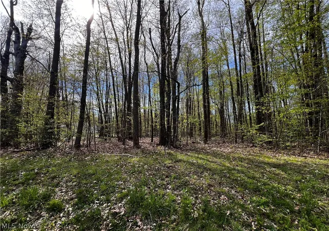 2nd image of 2154 Flame Lake Dr, Roaming Shores, OH 44084 | MLS# 5034708