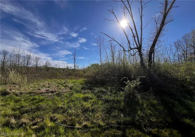 1st image of 683 Rome Rock Creek Rd, Roaming Shores, OH 44084 | MLS# 5034717