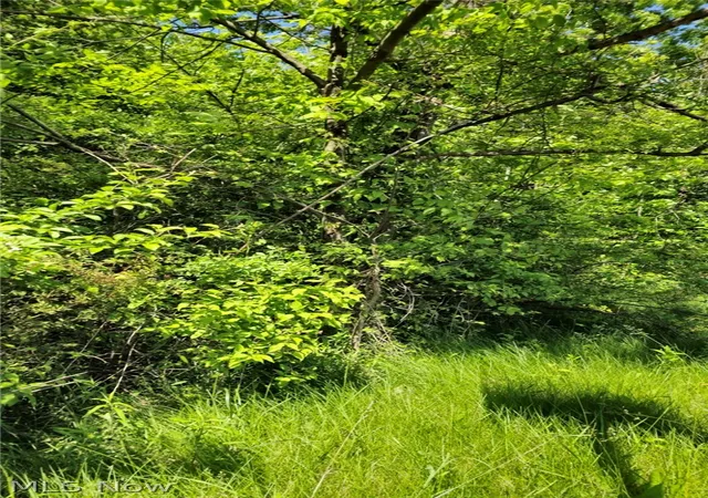 1st image of Harvard Rd, Boardman, OH 44512 | MLS# 5038029