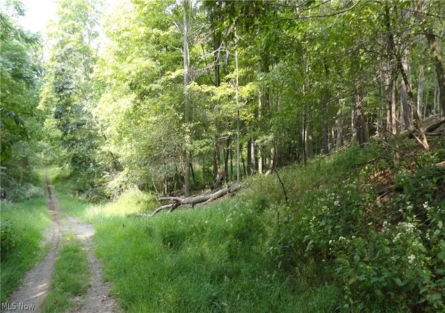 Homes for sale in Weirton, WV | Tbd Bryden Rd, Weirton, WV 26062 | MLS# 5050224